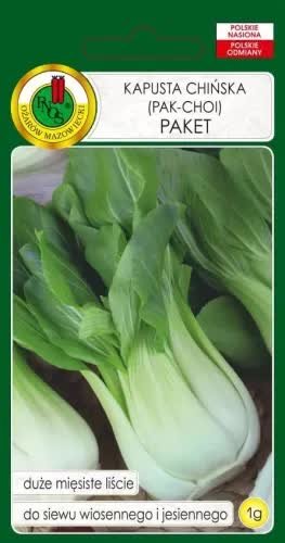 KAPUSTA PAK-CHOI PAKET 1g