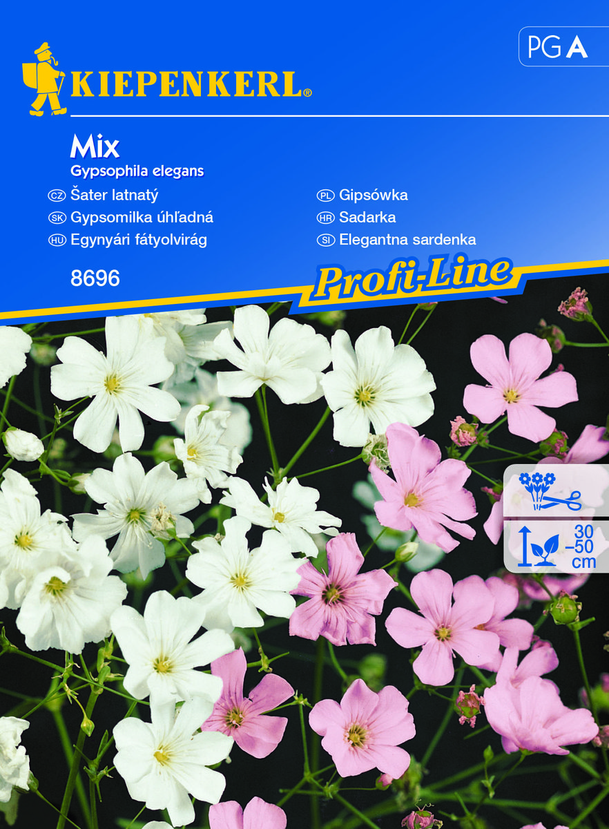 Gipsówka Mix