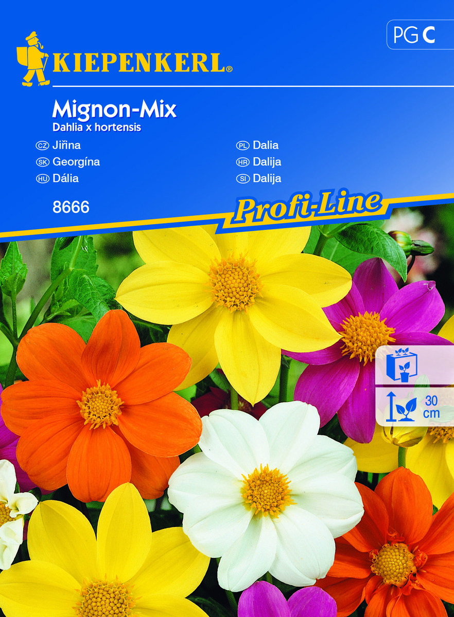 Dalia Mignon-Mix