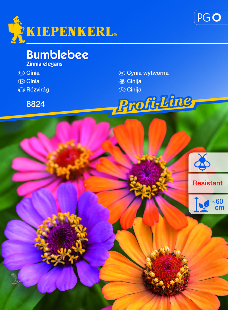 Cynia Wytworna Bumblebee