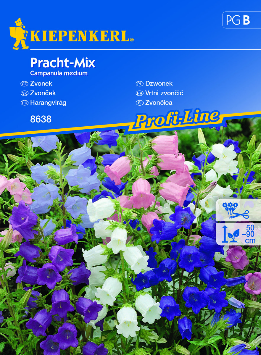 Dzwonek Pracht-Mix