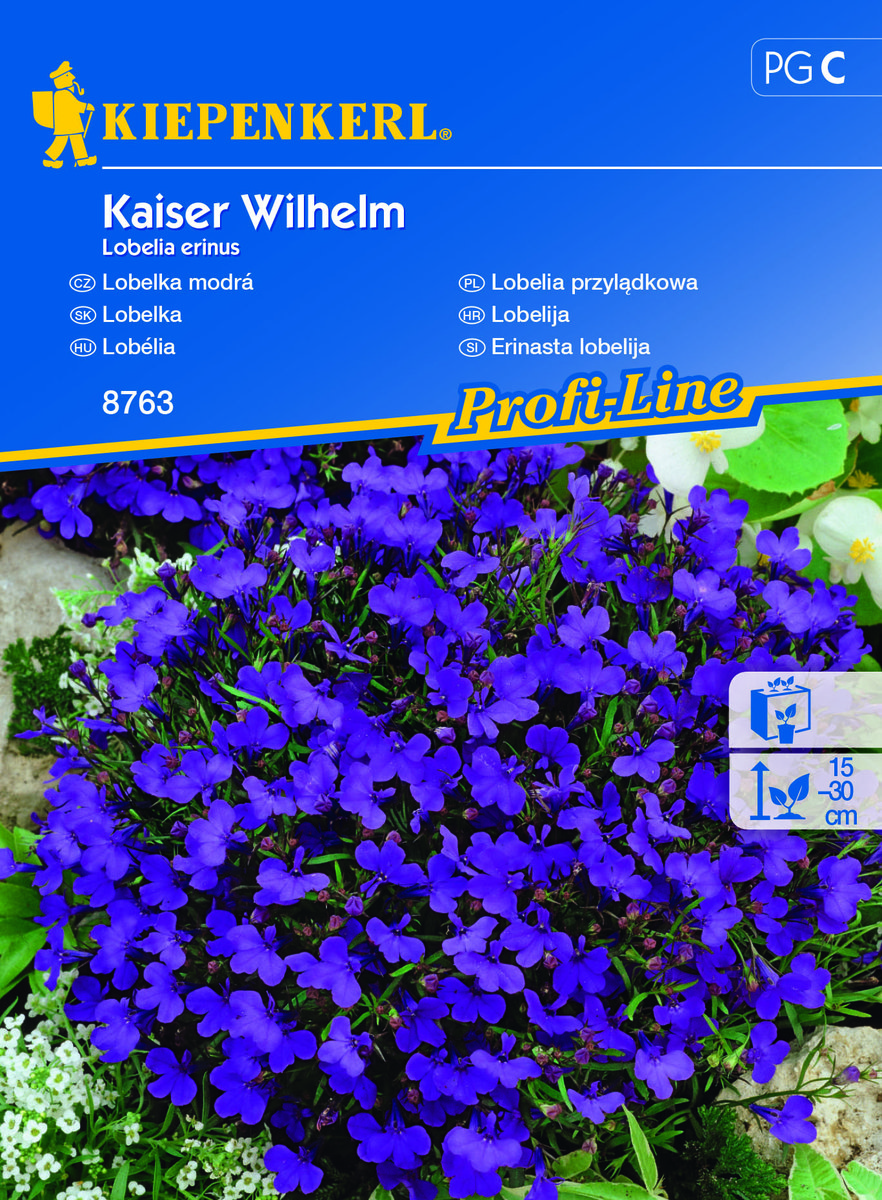 Lobelia Przylądkowa Kaiser Wilhelm