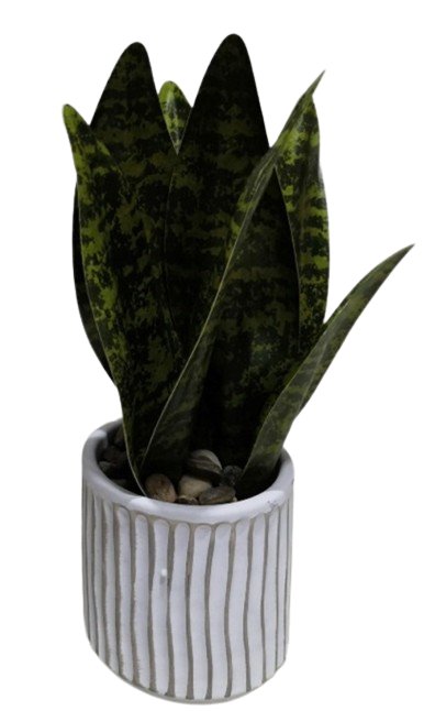 ROŚLINA SZTUCZNA Sanseviera HOMLA 20 cm