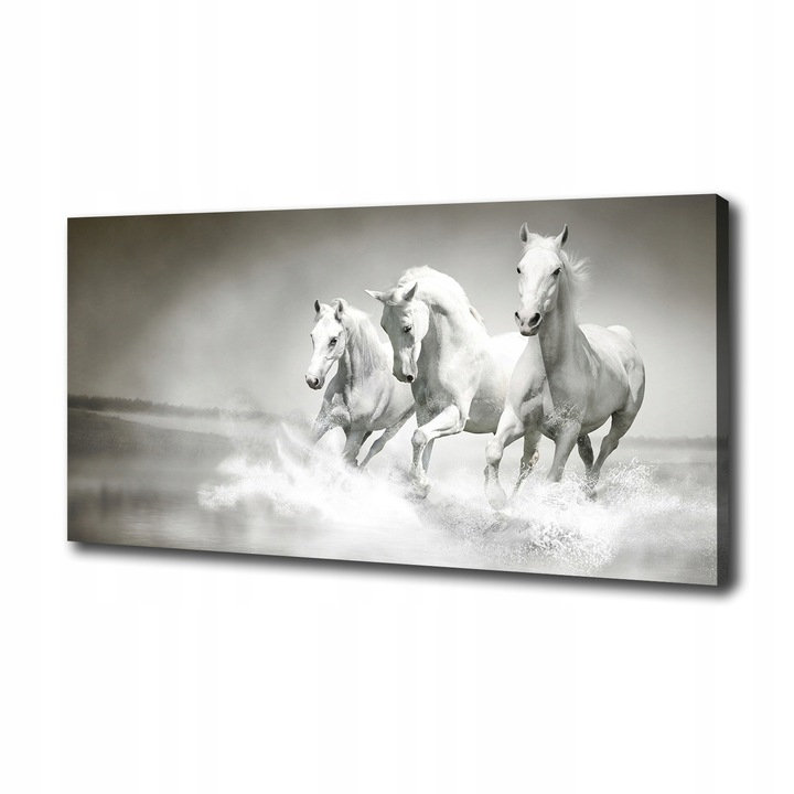 Foto Obraz Wydrukowany Na Płótnie Canvas Na Ścianę Białe Konie 100x70 cm