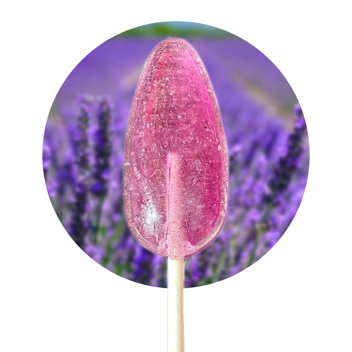 Kokliko Lizak lawendowy