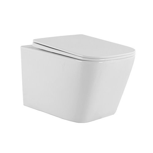 Hydrosan Biała miska wc wisząca Rimless 4.0 AQUA-WH-03