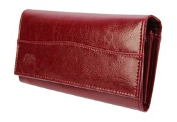 Portfel Damski ELKOR (PL) Długi 17cm Klamra Skóra Naturalna EL18 17 x 9 x 3,3 [cm]