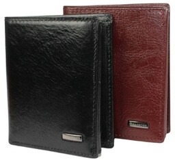 Elegancki Portfel Męski Skórzany ALBATROSS Skóra Licowa Średni Pionowy Dwa Skrzydełka A-3748 10,5 x 8,5 x 2 [cm]