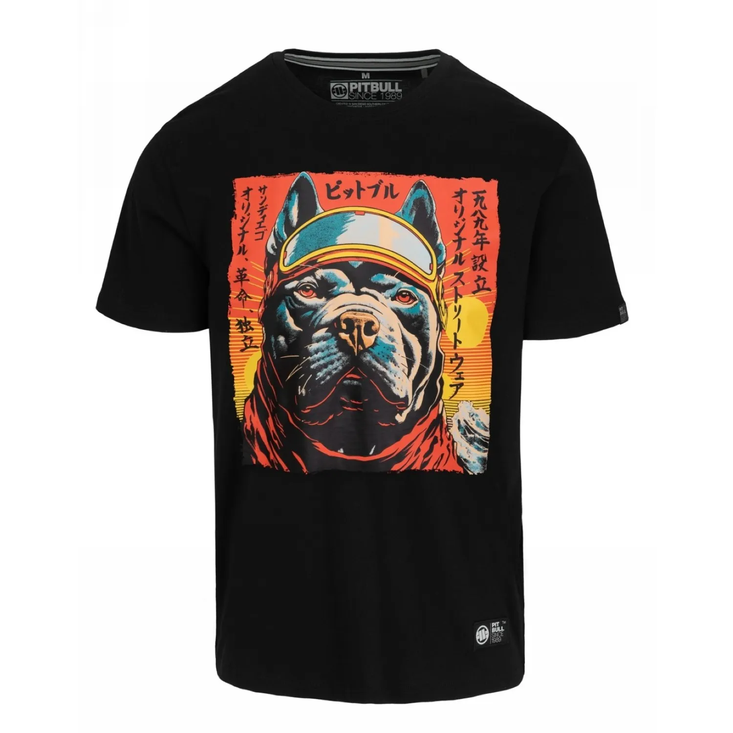 Pit Bull Middle Weight 170 Basic Fuji '25 - Czarna  L