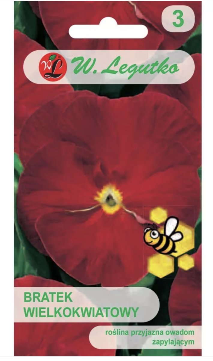 BRATEK WIELKOKWIATOWY ogrodowy czerwony NASIONA kwiatów p. PL930/12/210/3092A