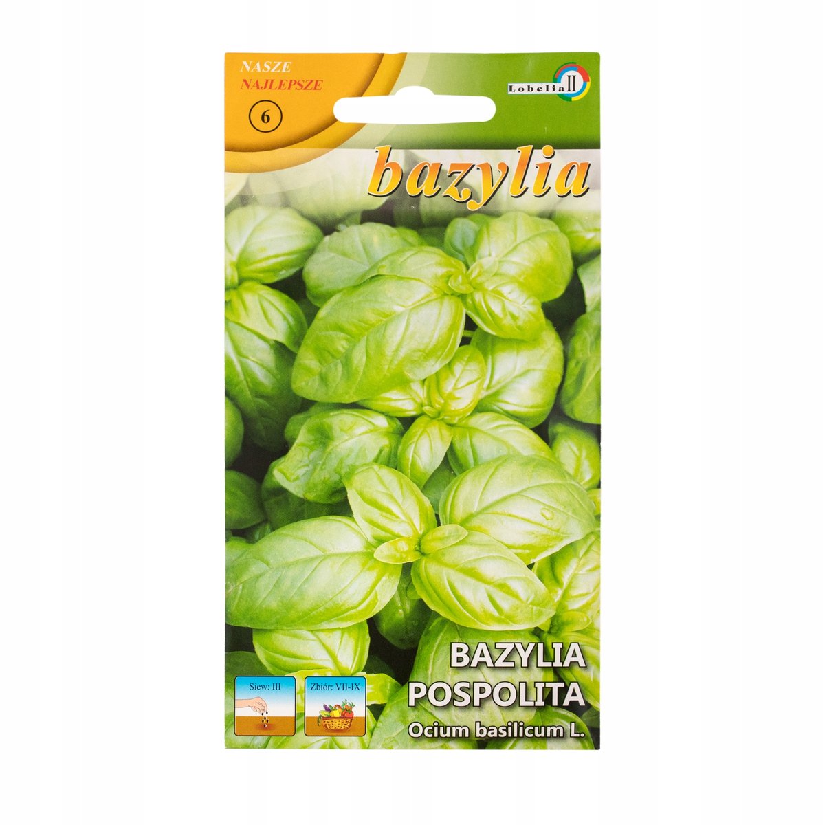 BAZYLIA POSPOLITA aromatyczna przyprawa NASIONA ZIÓŁ WARZYW p. 63053CIN0DX; 800B4018;