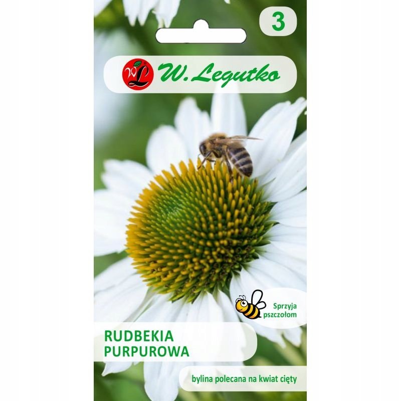 Nasiona Rudbekia purpurowa. Jeżówka biała 0.50g - W.Legutko