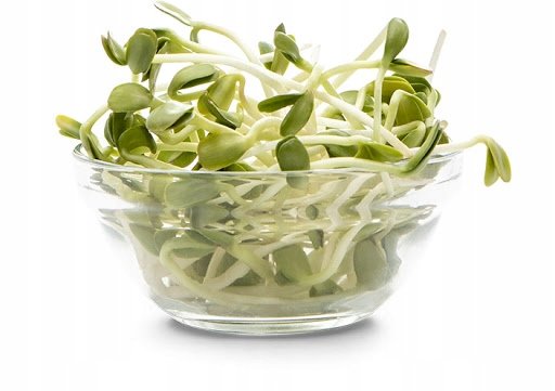 NASIONA NA kiełki SŁONECZNIK duże opakowanie NASIONA źródło witamin p. 139360; PL302/23/4617/L6/A;