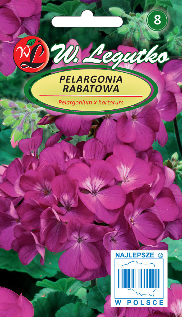 Nasiona Pelargonia rabatowa Gama F1 fioletowa 0.03g - W.Legutko