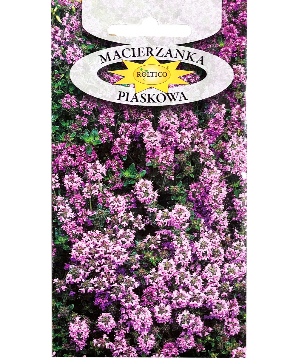 MACIERZANKA PIASKOWA pachnąca bylina NASIONA kwiatów ROŚLIN OZDOBNYCH p. 2H97; 4H97;