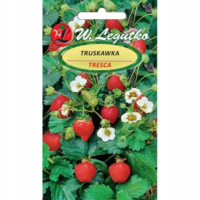 TRUSKAWKA do gruntu i donicy TRESCA SŁODKA ODMIANA NASIONA p. PL430/12/210/L71/A