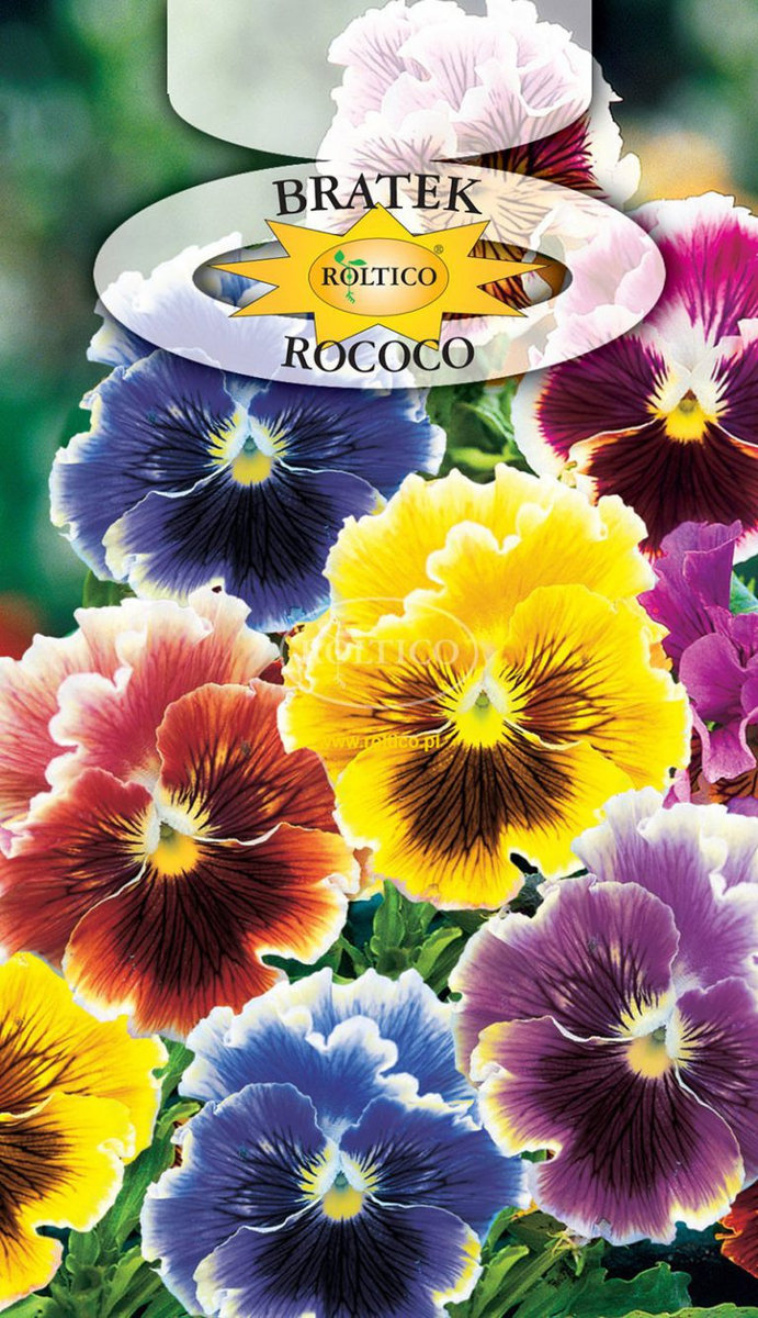 BRATEK OGRODOWY ROCOCO 0,4g