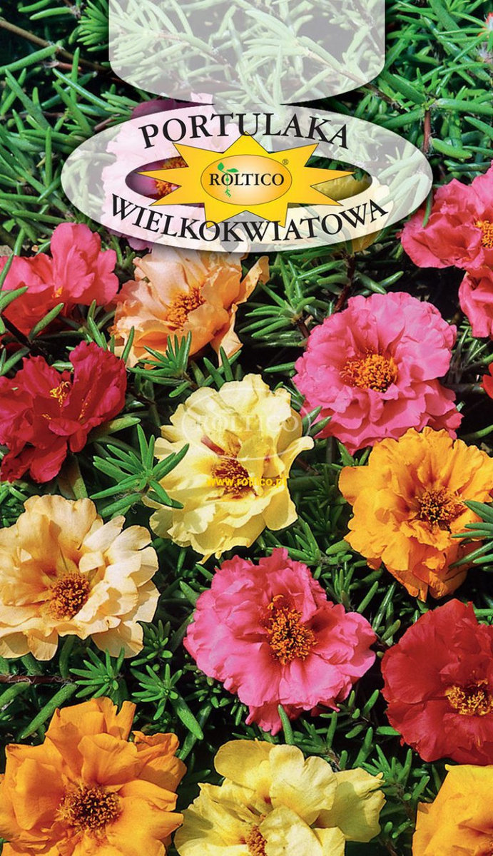PORTULAKA WIELKOKWIATOWA 0,5g