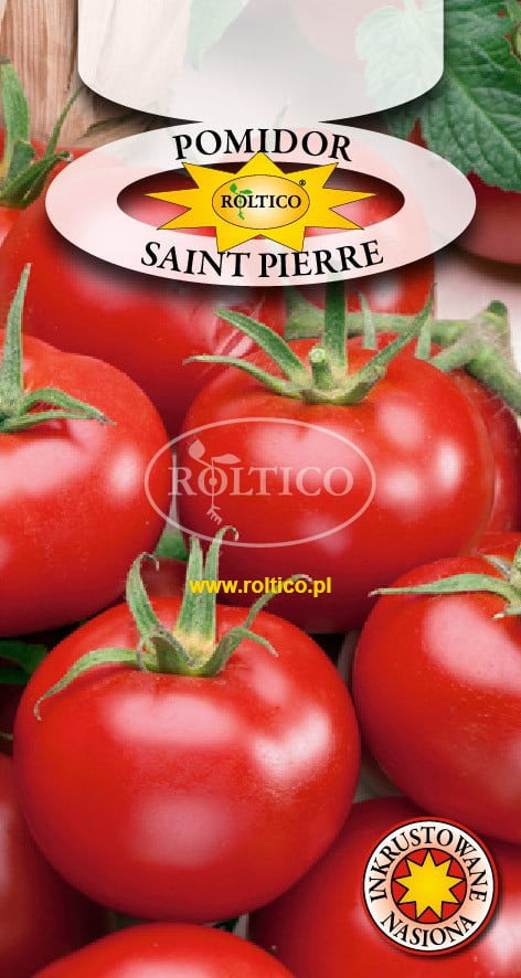 POMIDOR GRUNTOWY SAINT PIERRE 0,5g