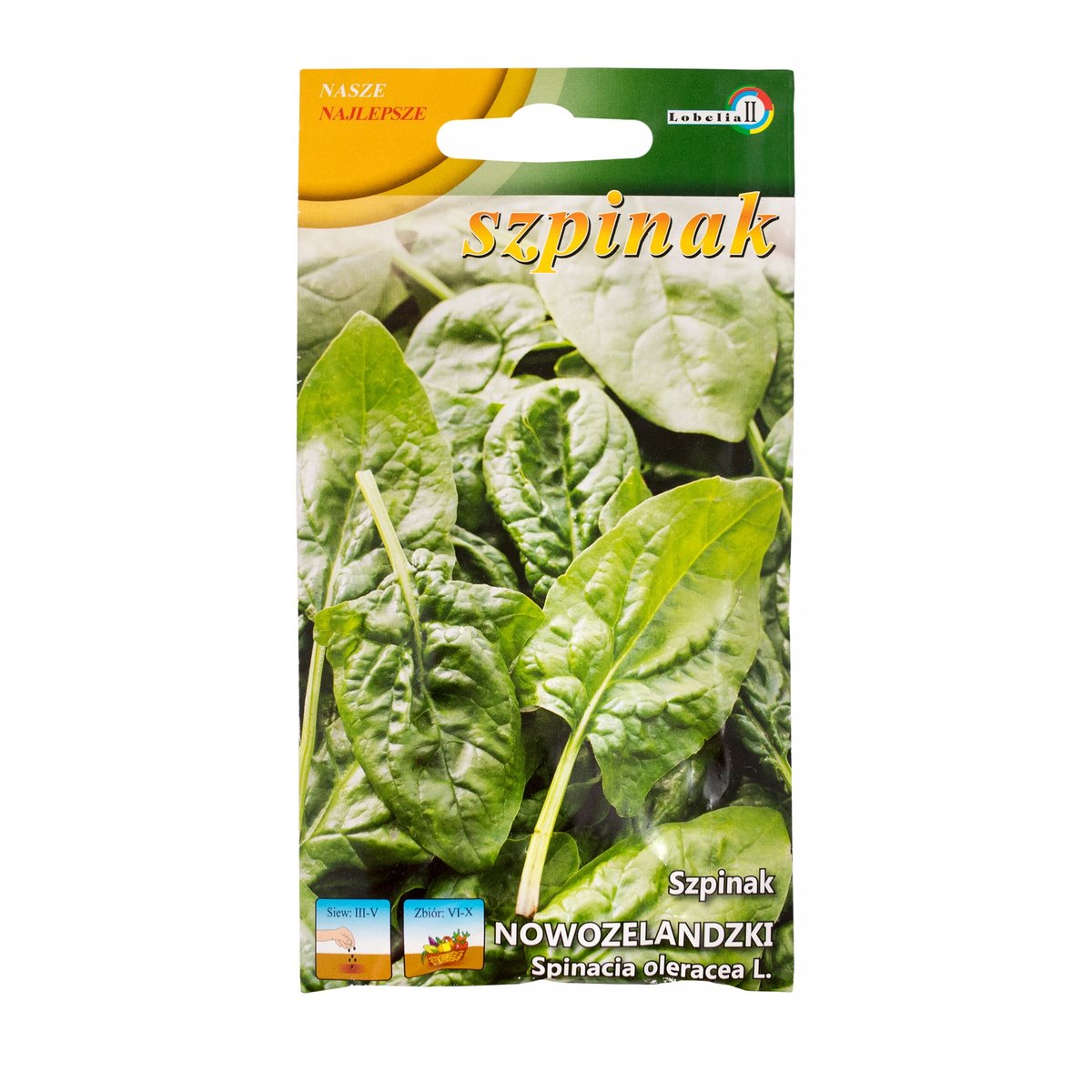 SZPINAK NOWOZELANDZKI bardzo plenny NASIONA WARZYW p. 0109080CIN0EA, 66221CIN0DA