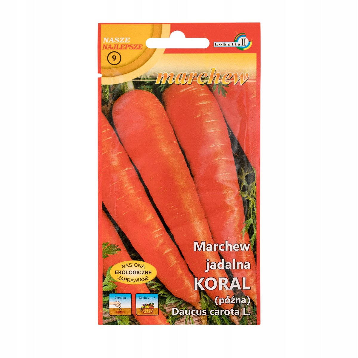 MARCHEW marchewka KORAL soczysta plenna PÓŹNA NASIONA warzyw p. 75076CIN0DX