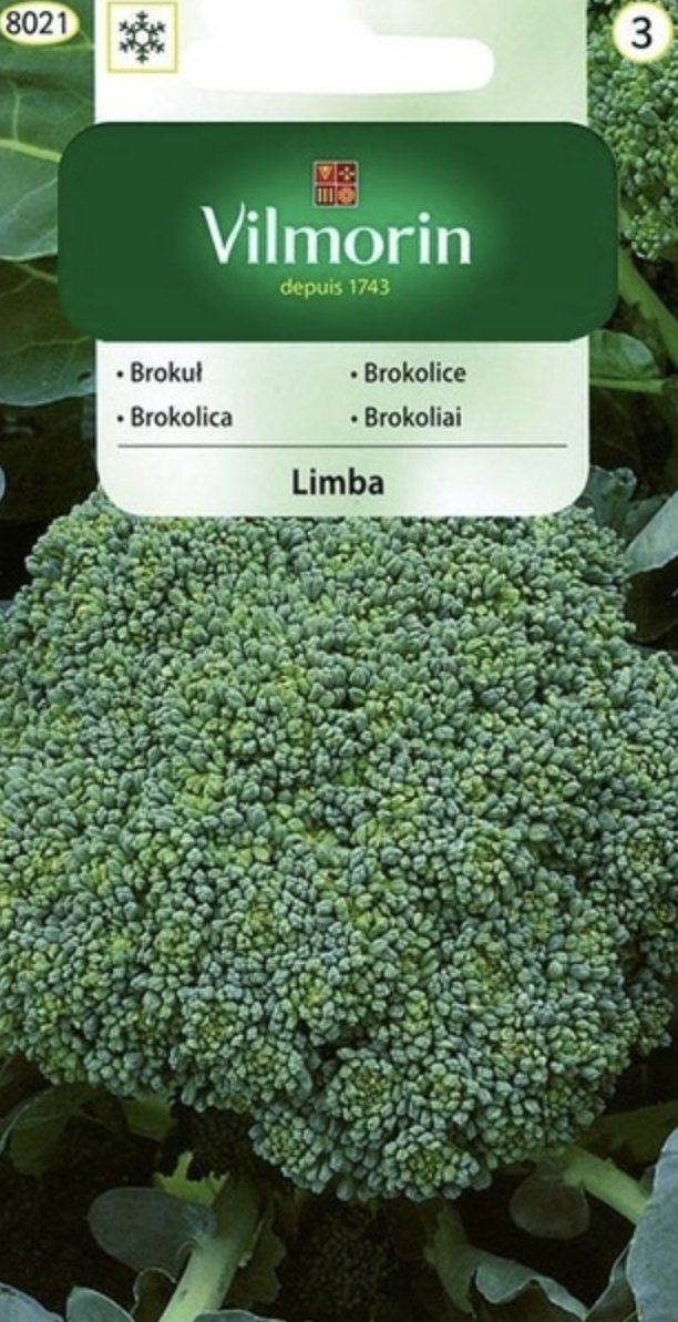 BROKUŁ LIMBA zielony wczesny plenny i odporny WYSOKA JAKOŚĆ NASIONA warzyw p. 9-0051-90071-01