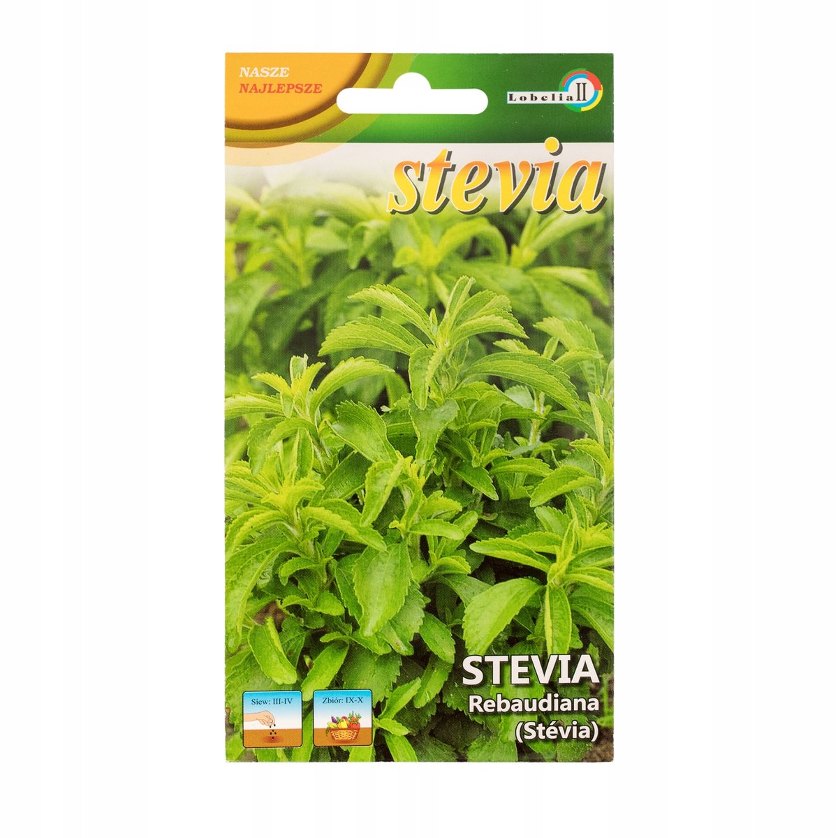 STEVIA naturalny słodzik NASIONA p. DE80016620166292