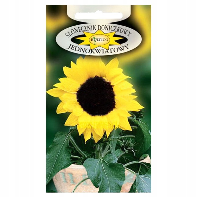 SŁONECZNIK DONICZKOWY JEDNOKWIATOWY NASIONA p. 191660.67