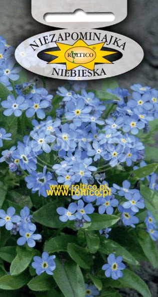 NIEZAPOMINAJKA ALPEJSKA NIEBIESKA 0,5g