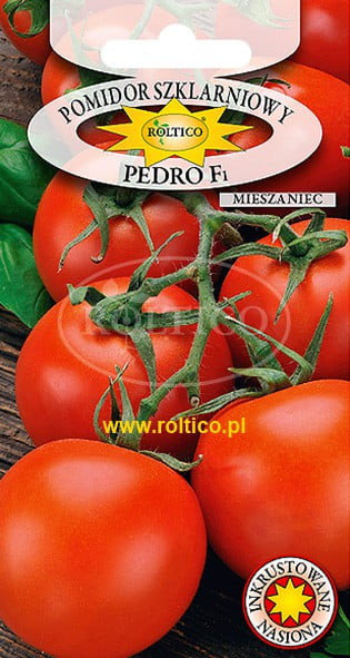 POMIDOR POD OSŁONY PEDRO F1 0,1g