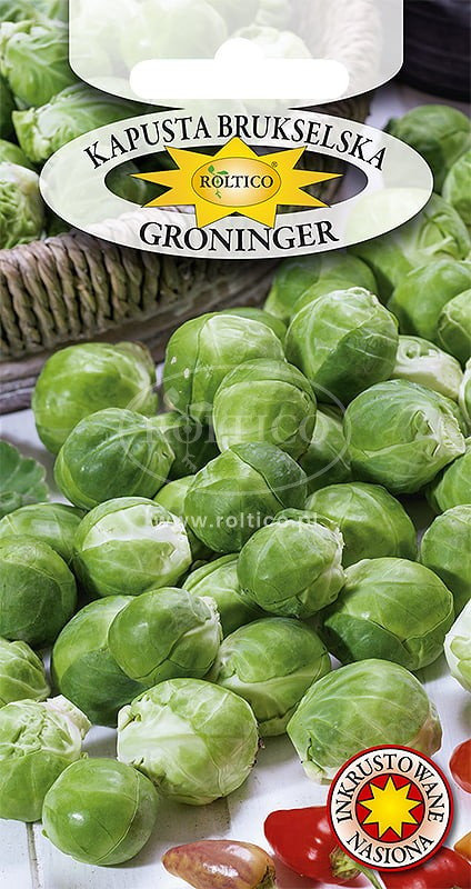 KAPUSTA BRUKSELKA GRONINGER 1g