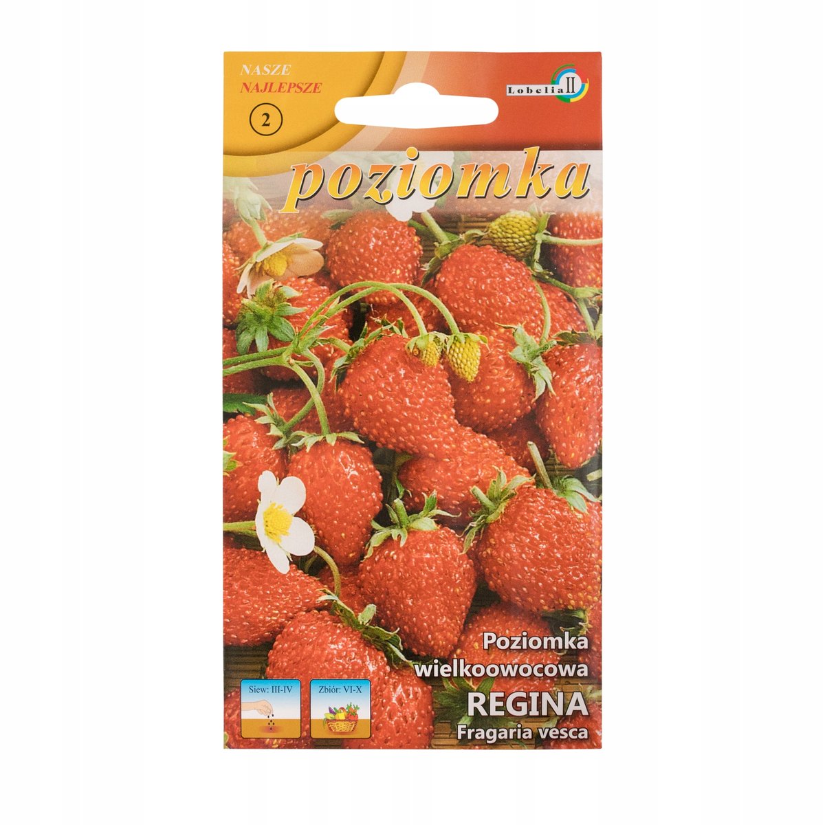 POZIOMKA REGINA wielkoowocowa plenna NASIONA p. 3-0051-68516-01;