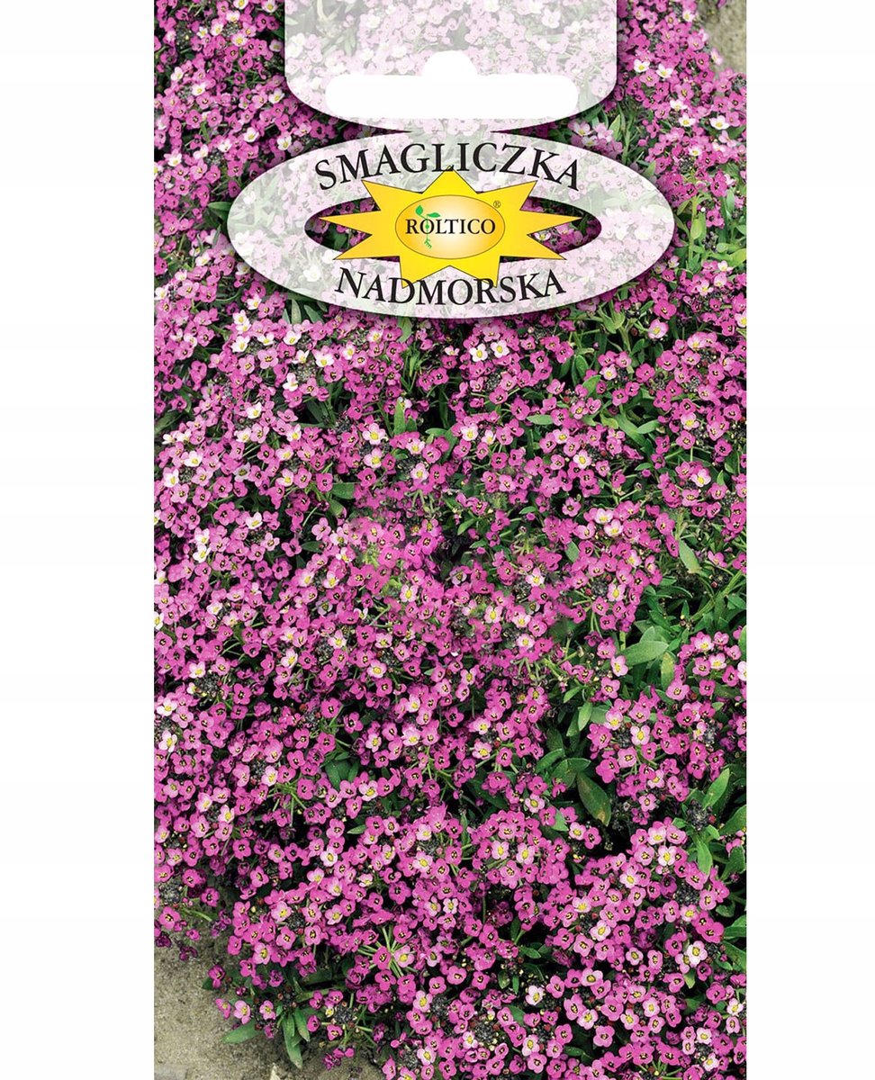 SMAGLICZKA różowa pachnąca NASIONA kwiatów p. 1H132; 2H132;