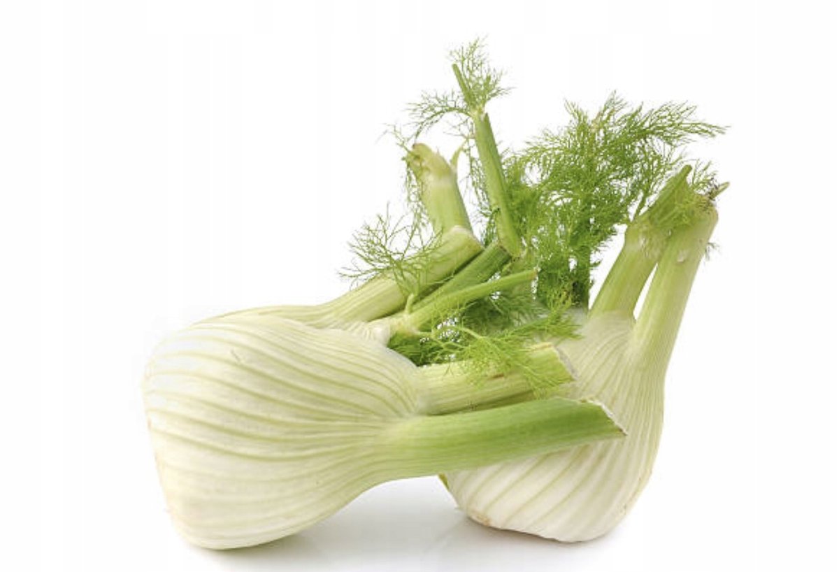 Koper włoski fenkuł słodki w smaku nasiona warzyw ziół p. 82615cin0dx, ak17/g17