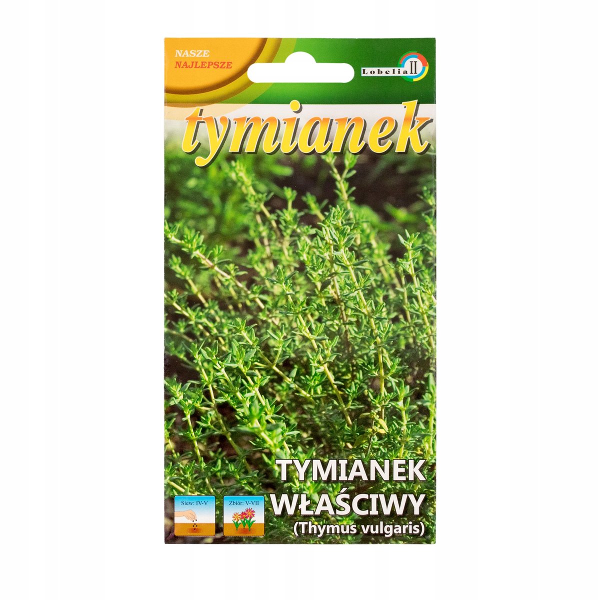 TYMIANEK WŁAŚCIWY wieloletnie NASIONA ZIÓŁ p. 3652CIN0CA