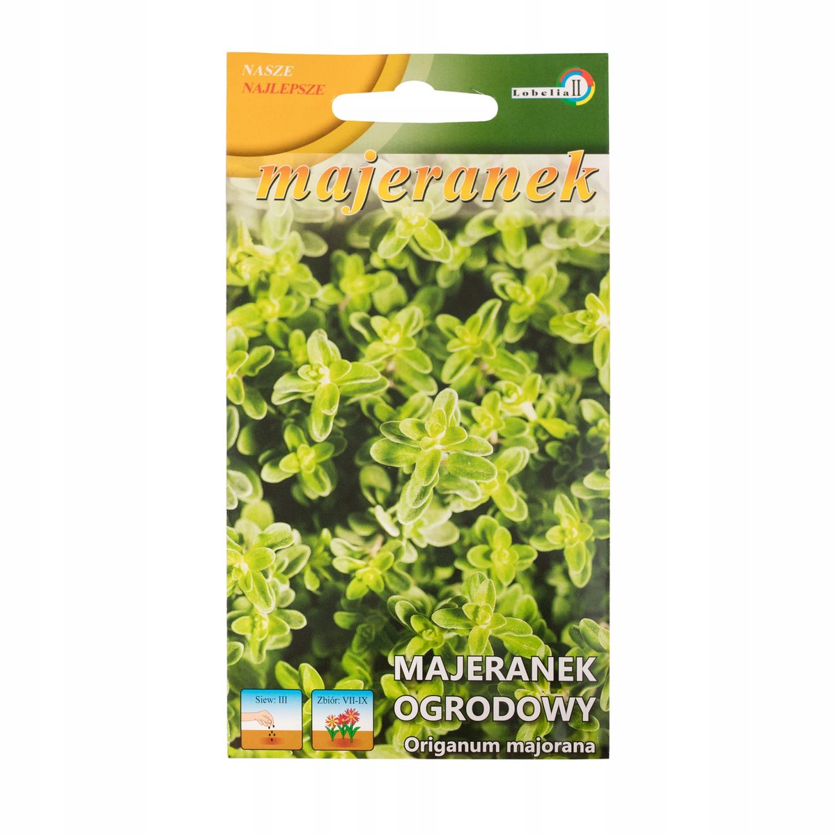 MAJERANEK OGRODOWY PRZYPRAWA NASIONA ZIÓŁ aromatyczna przyprawa p. 45986CIN0CA; DE80016220215866;