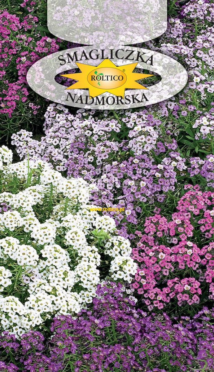SMAGLICZKA NADMORSKA MIESZANKA 0,5g