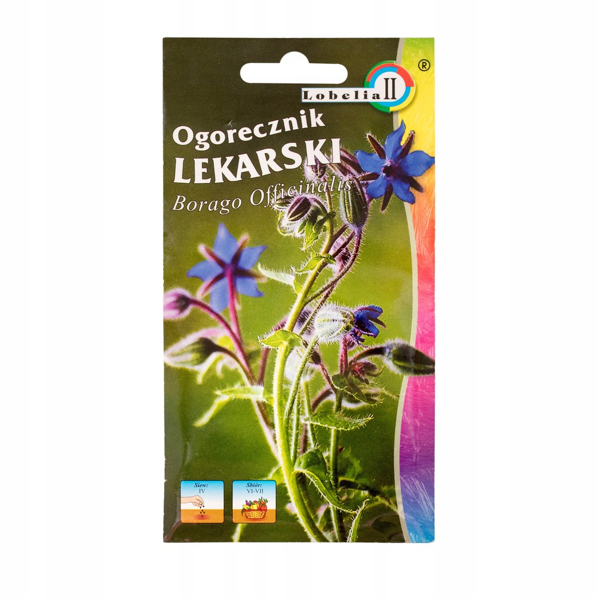 OGÓRECZNIK LEKARSKI NASIONA ZIÓŁ MIODODAJNY ZDROWY p. 428/XR;