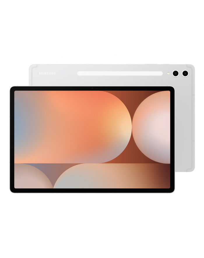 Samsung Galaxy Tab S10+ 256-12-0G Silver SM-X820NZSREUB