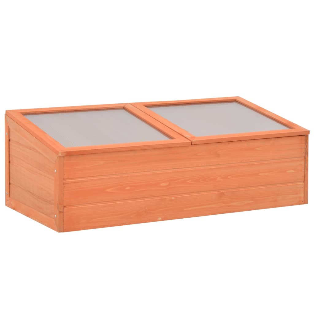 The Living Store Inspekt na rośliny - drewniany - 100 x 50 x 34 cm - Szklarnia