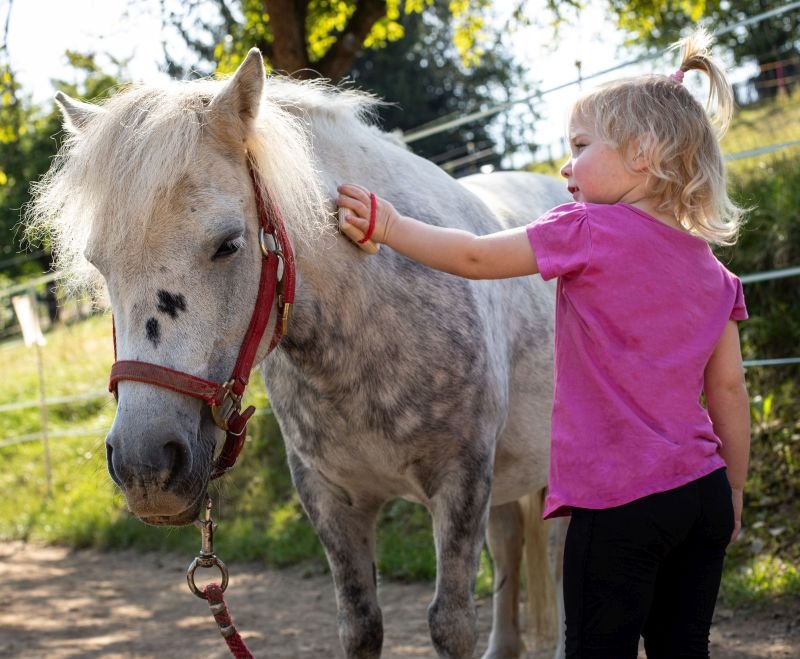 Zestaw do pielęgnacji i karmienia konia 8 elementów Hobby Horse akcesoria Erzi