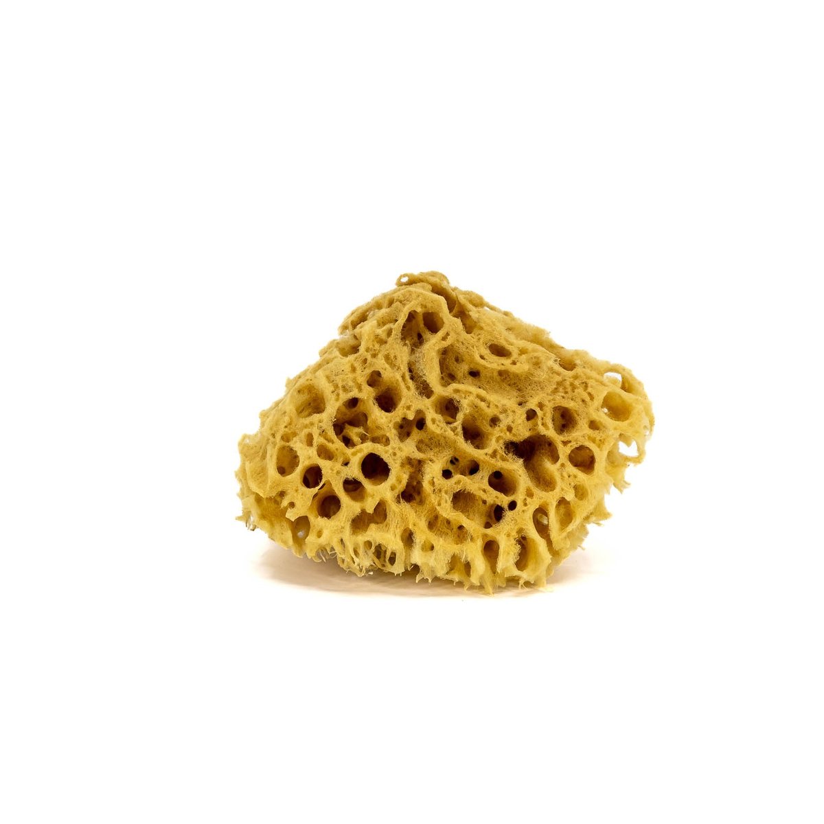 Gąbka do kąpieli - naturalna morska - rozmiar S. 10-12cm