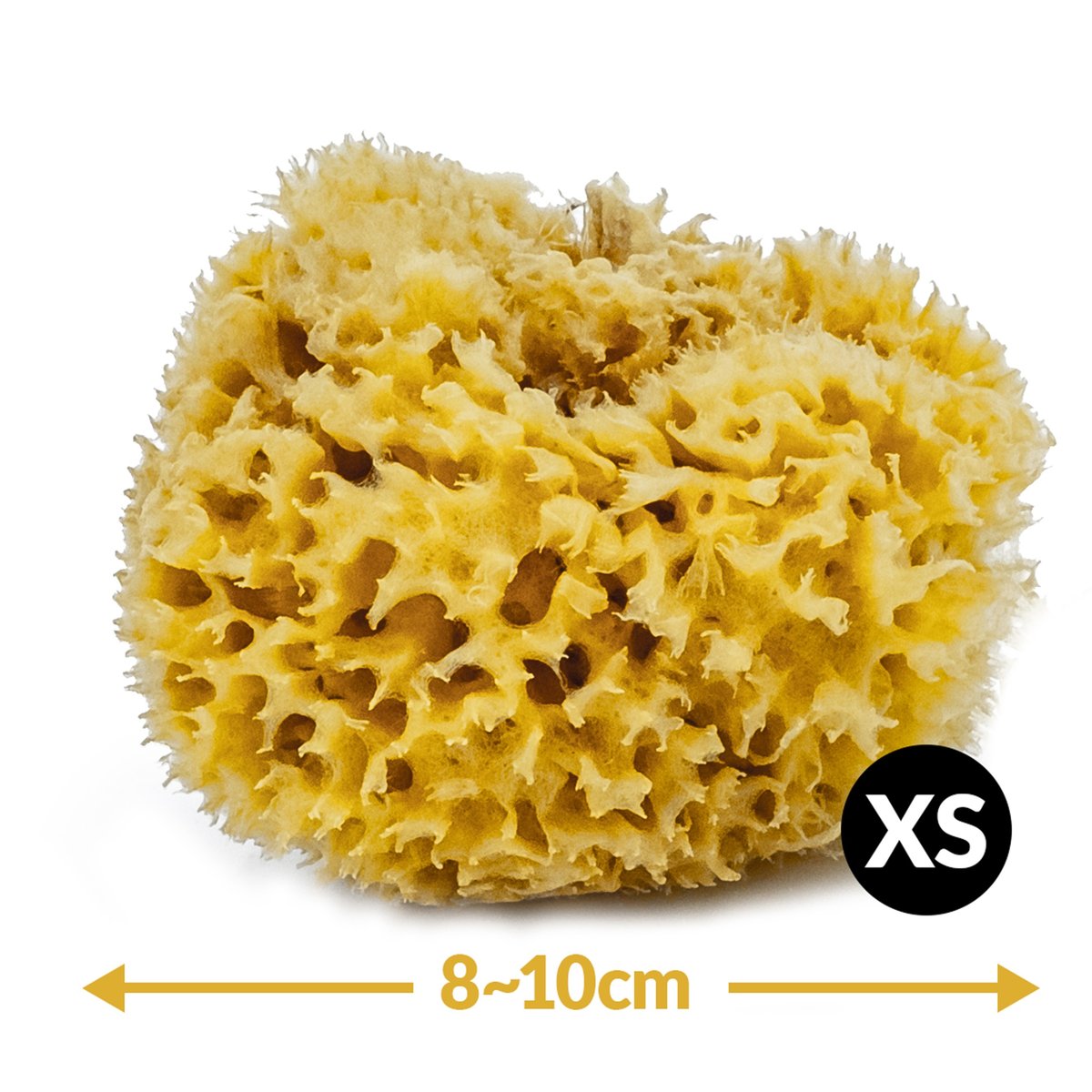 Gąbka do kąpieli - naturalna morska - rozmiar MINI 8-10 cm