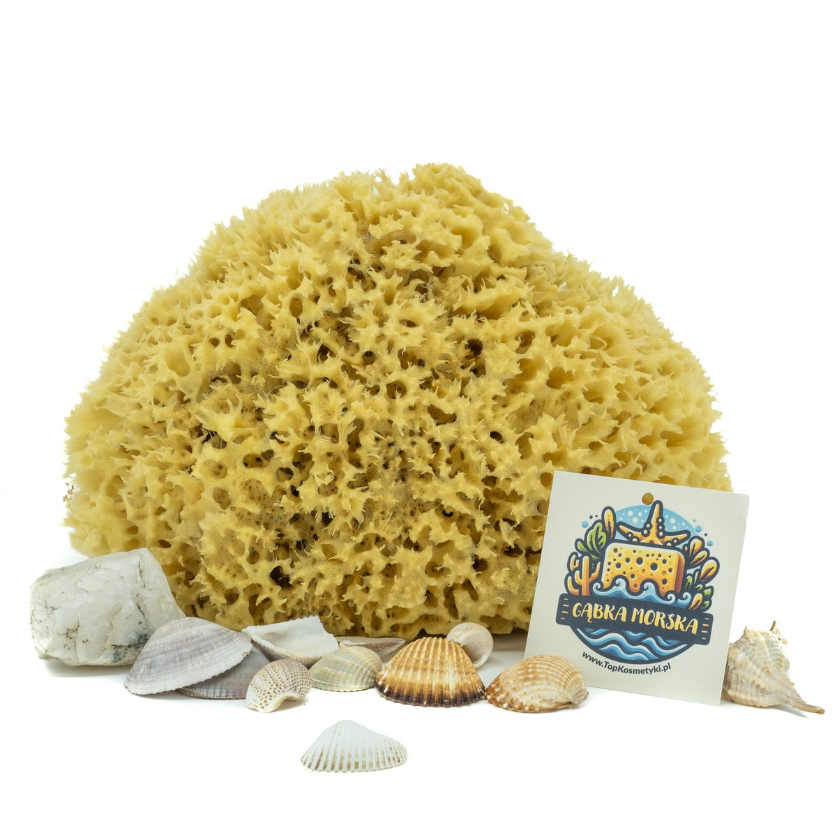 Gąbka do kąpieli - naturalna morska - rozmiar 3XL 20-22 cm