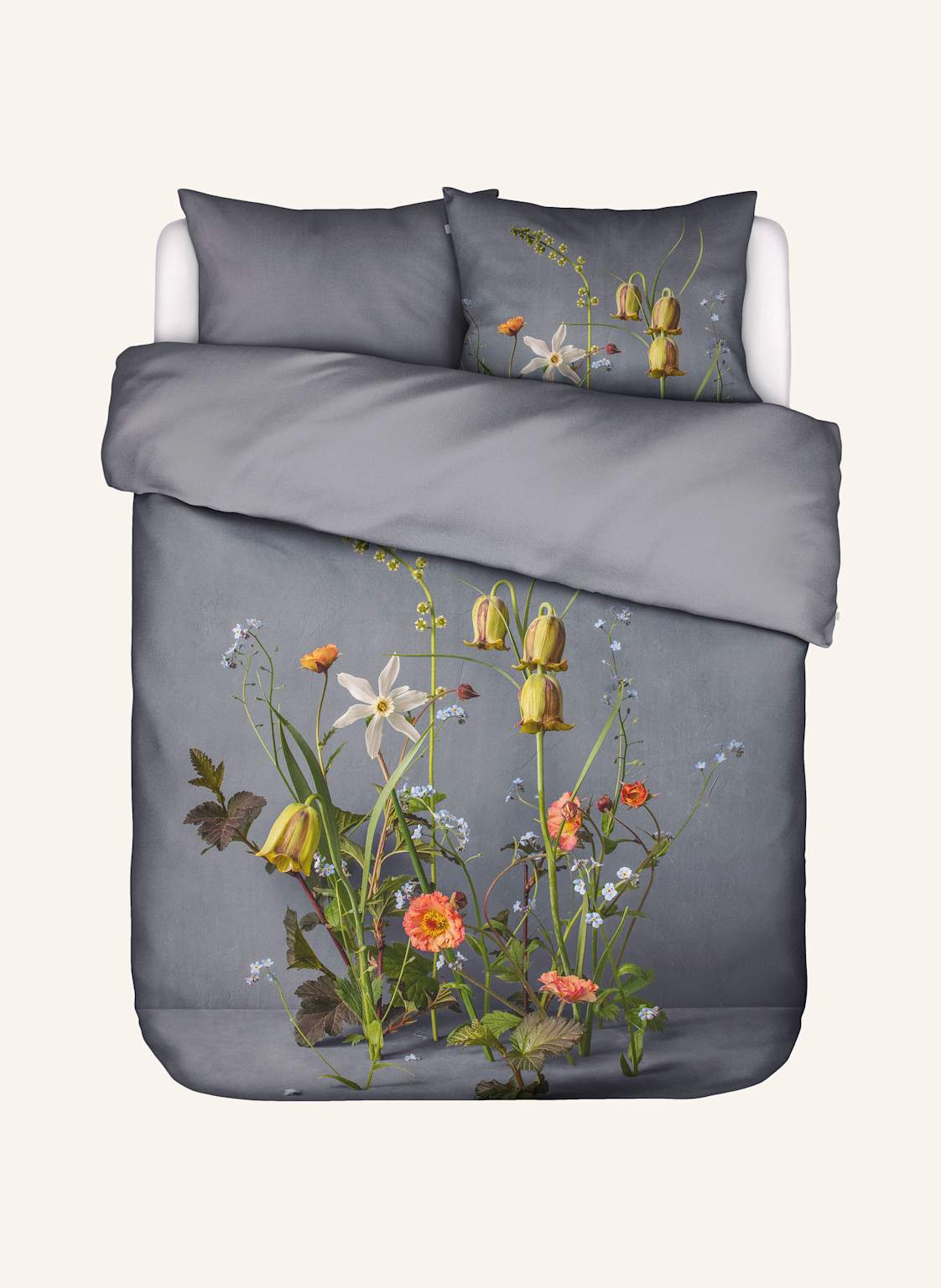 Essenza Pościel Ficaria Dwustronna grau