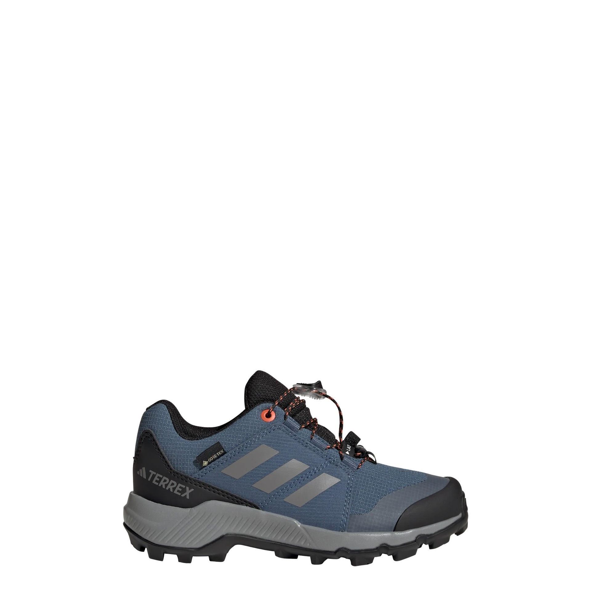 Adidas Terrex Obuwie Trekkingowe Terrex Gtx blau