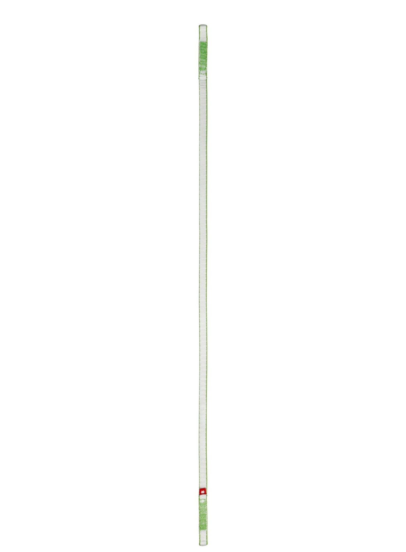 Taśma Ocun St-Sling Dyn 12 80 cm - green