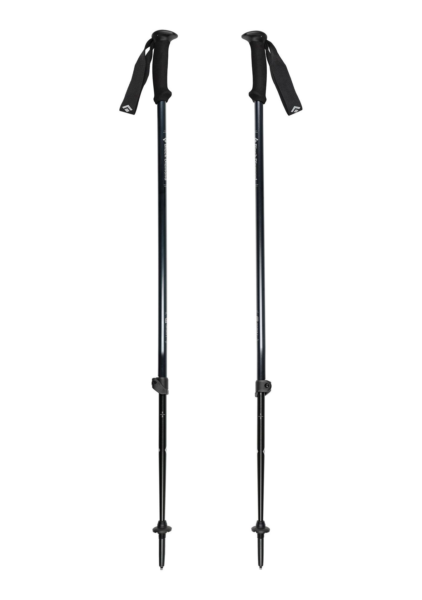 Kije trekkingowe Black Diamond Explorer 2 Trekking Poles - ink blue
