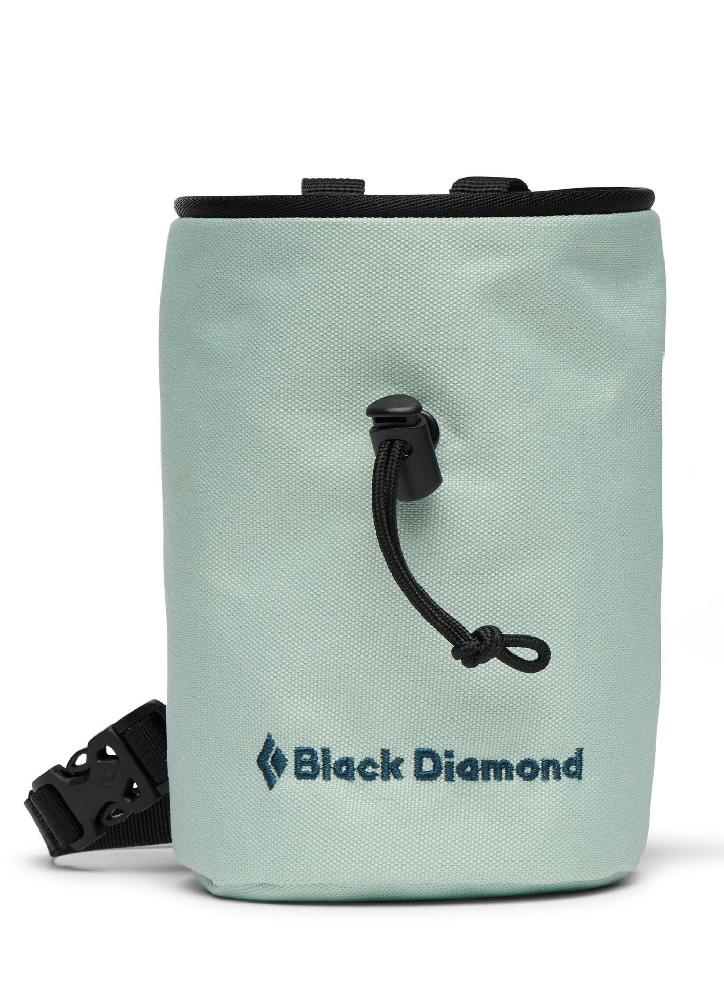 Woreczek na magnezję Black Diamond Mojo Chalk Bag - foam green
