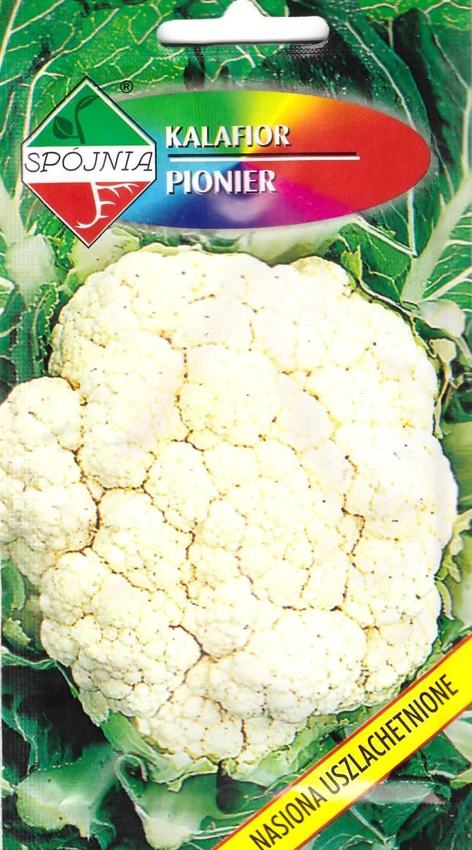 Kalafior Pionier nasiona 1g Spójnia